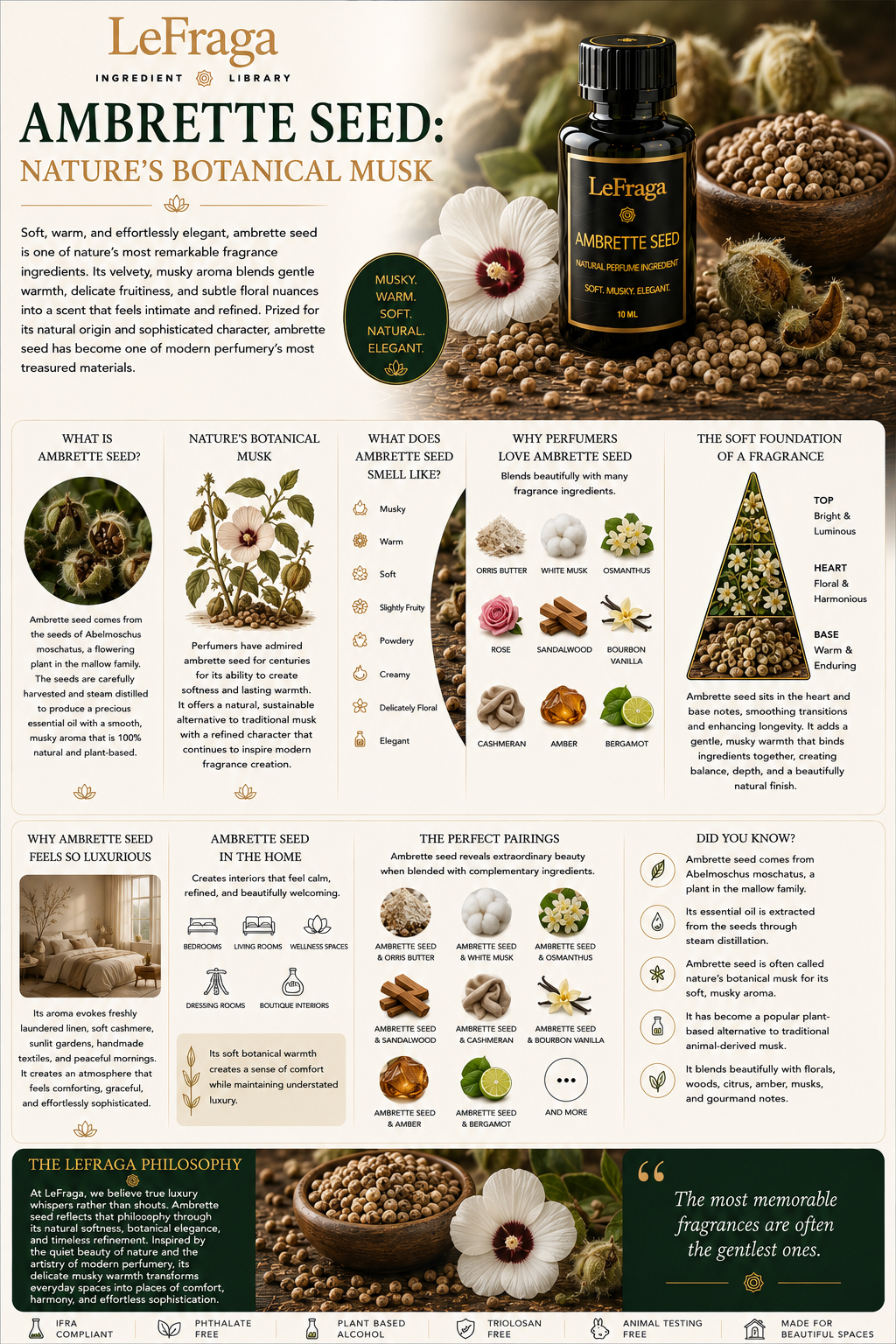 Ambrette Seed: Nature's Botanical Musk