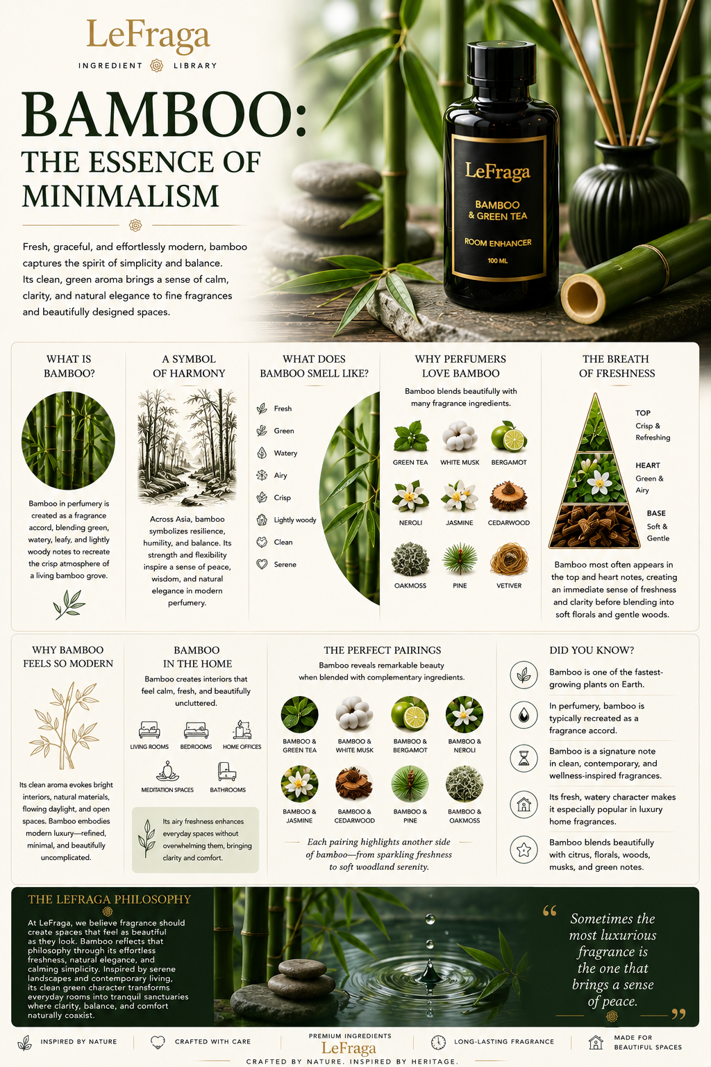 Bamboo: The Essence of Minimalism