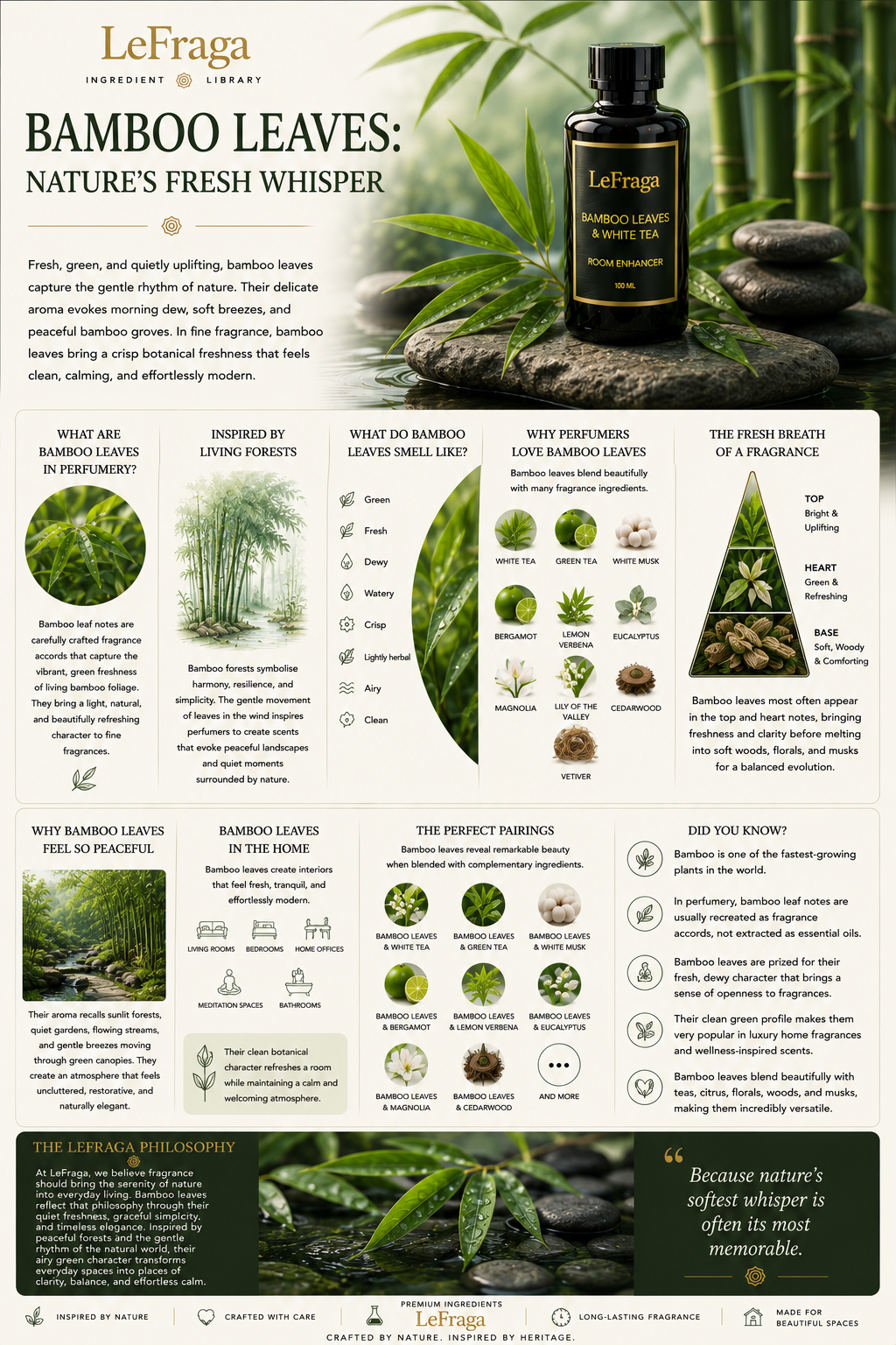 Bamboo Leaves: Nature's Fresh Whisper