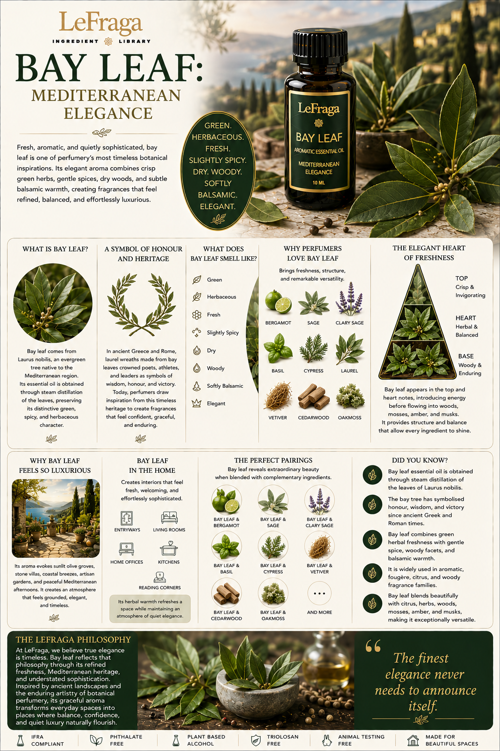 Bay Leaf: Mediterranean Elegance