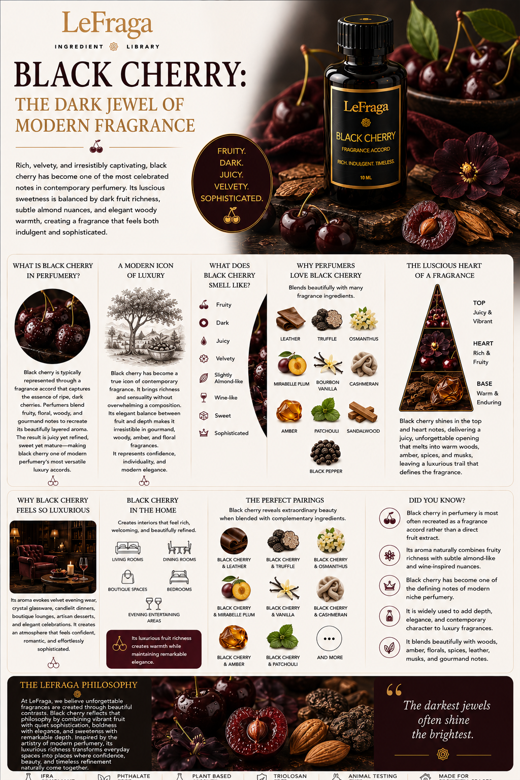 Black Cherry: The Dark Jewel of Modern Fragrance