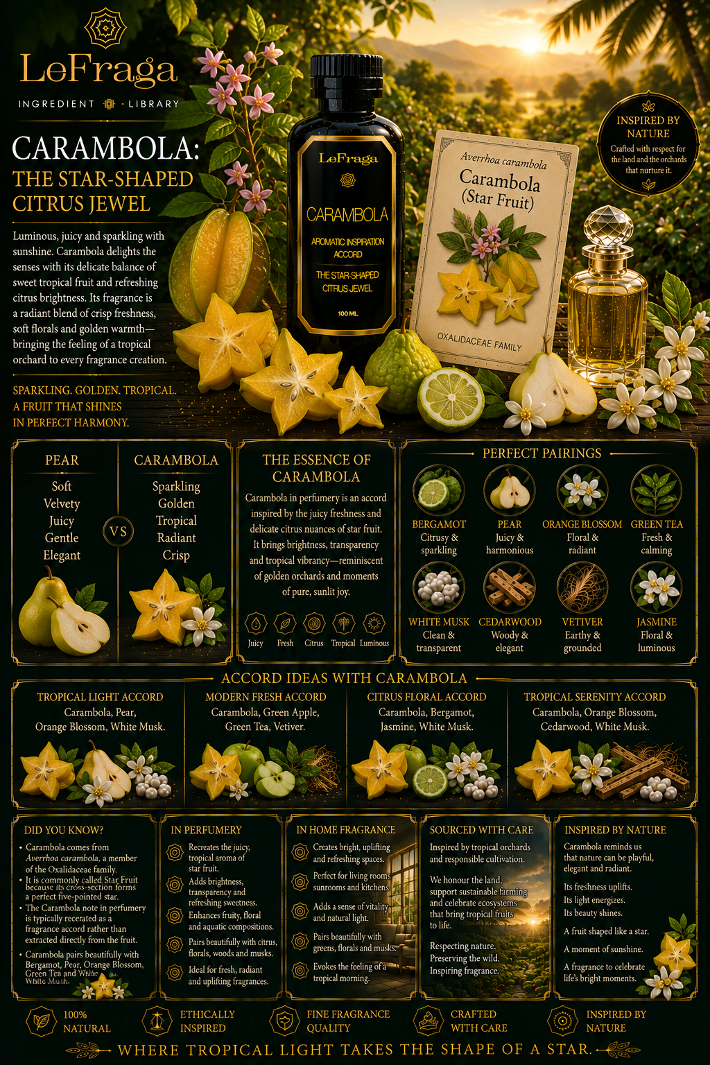 Carambola: The Star-Shaped Citrus Jewel