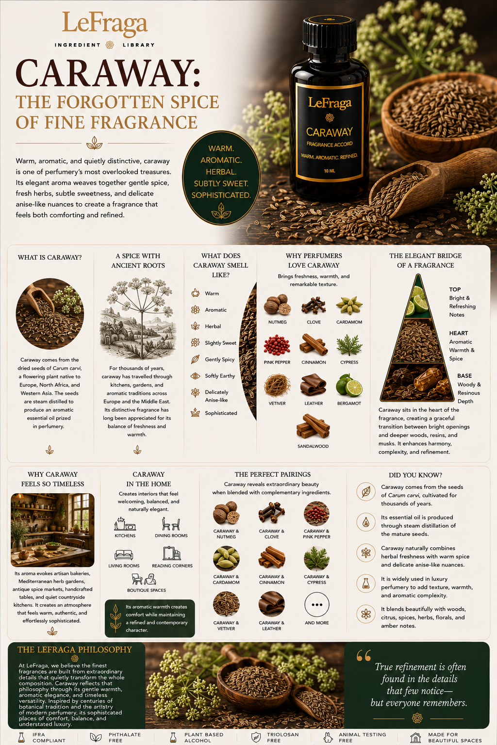 Caraway: The Forgotten Spice of Fine Fragrance