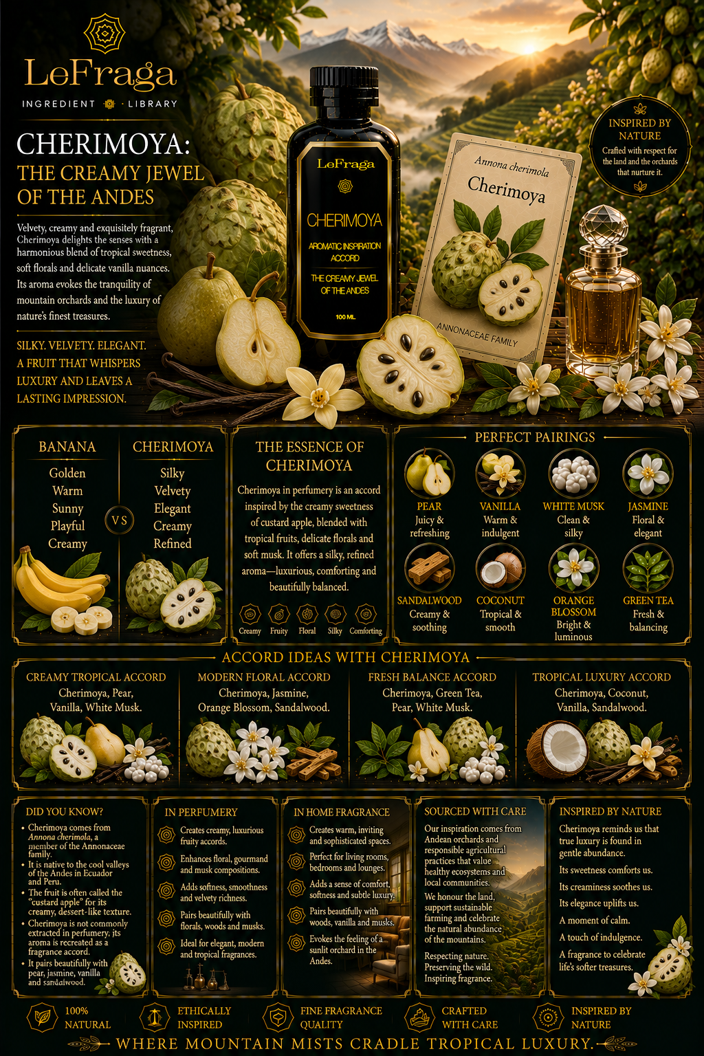 Cherimoya: The Creamy Jewel of the Andes