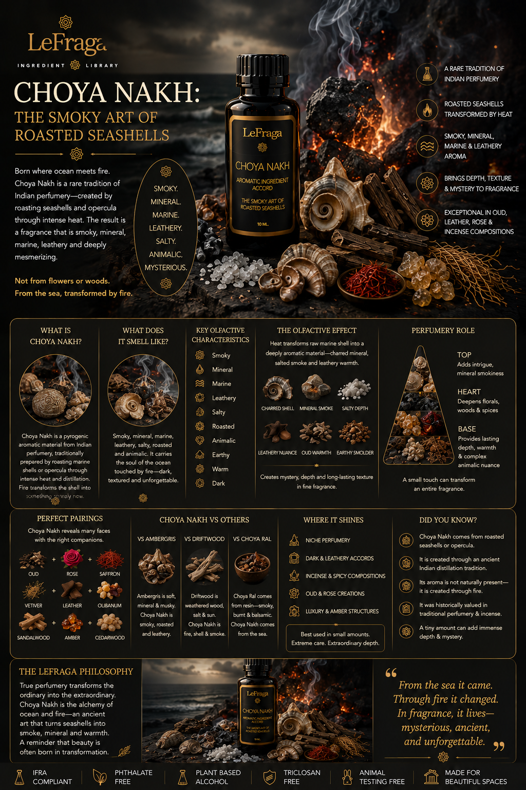 Choya Nakh: The Smoky Art of Roasted Seashells