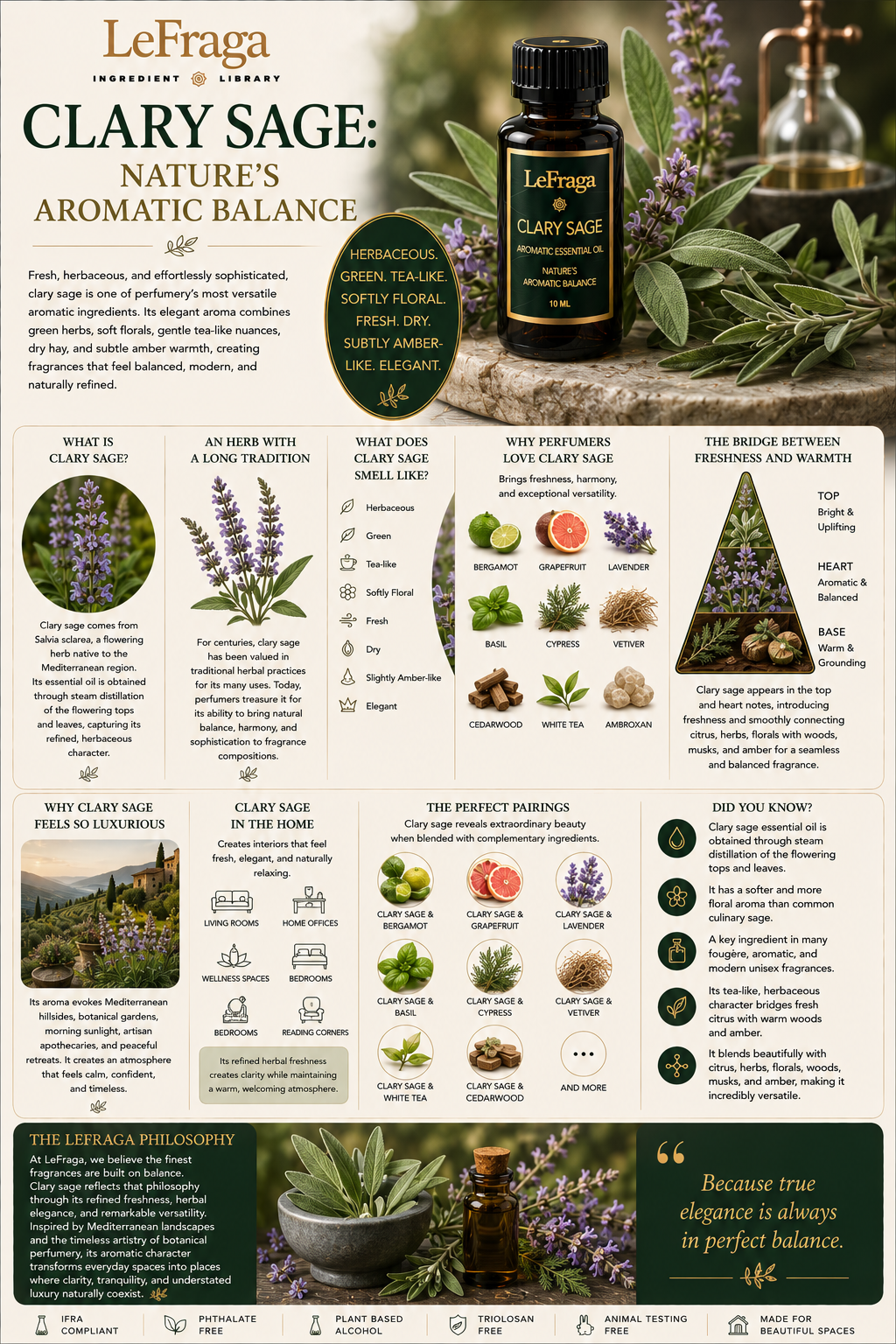 Clary Sage: Nature's Aromatic Balance