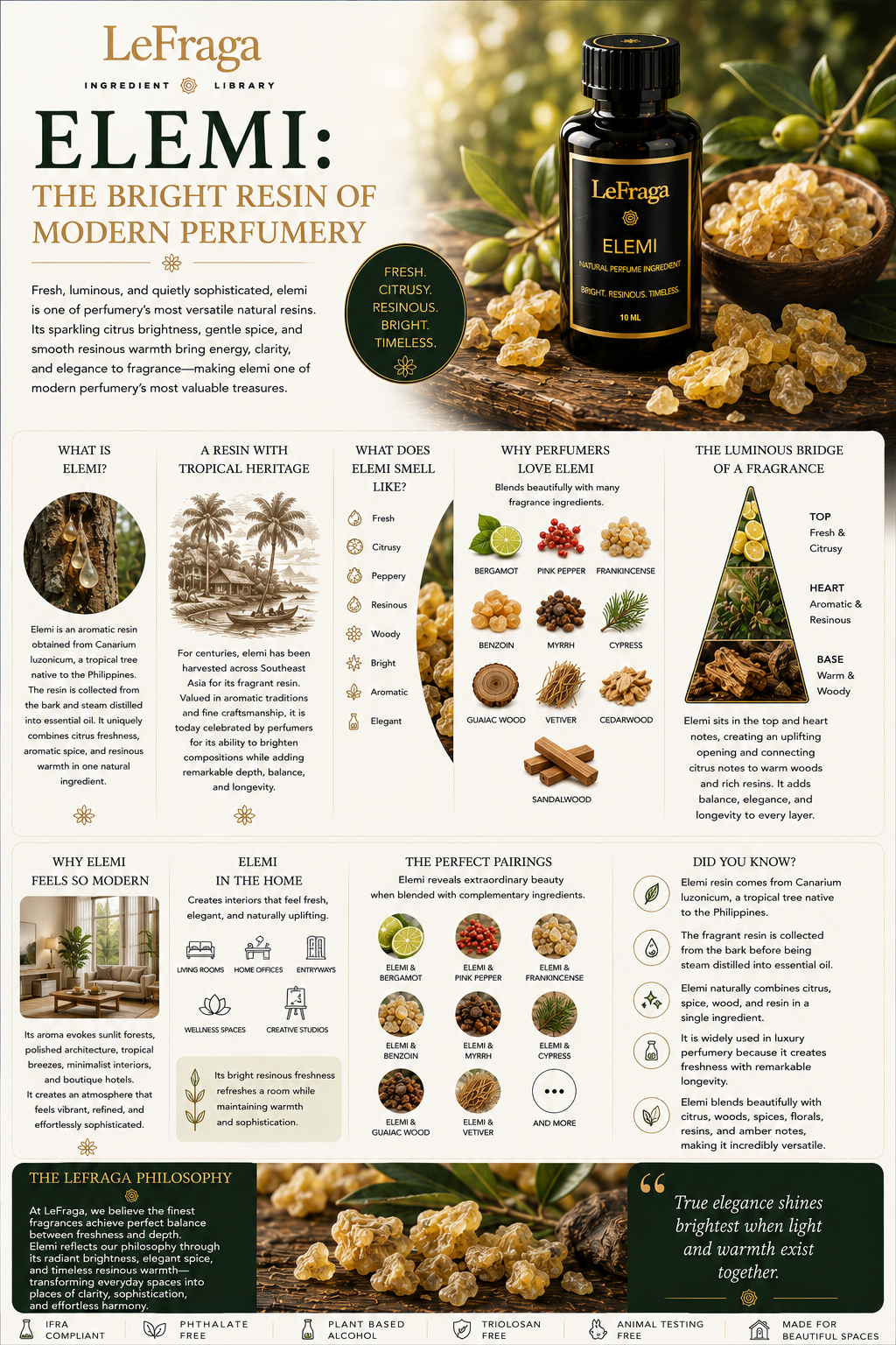 Elemi: The Bright Resin of Modern Perfumery