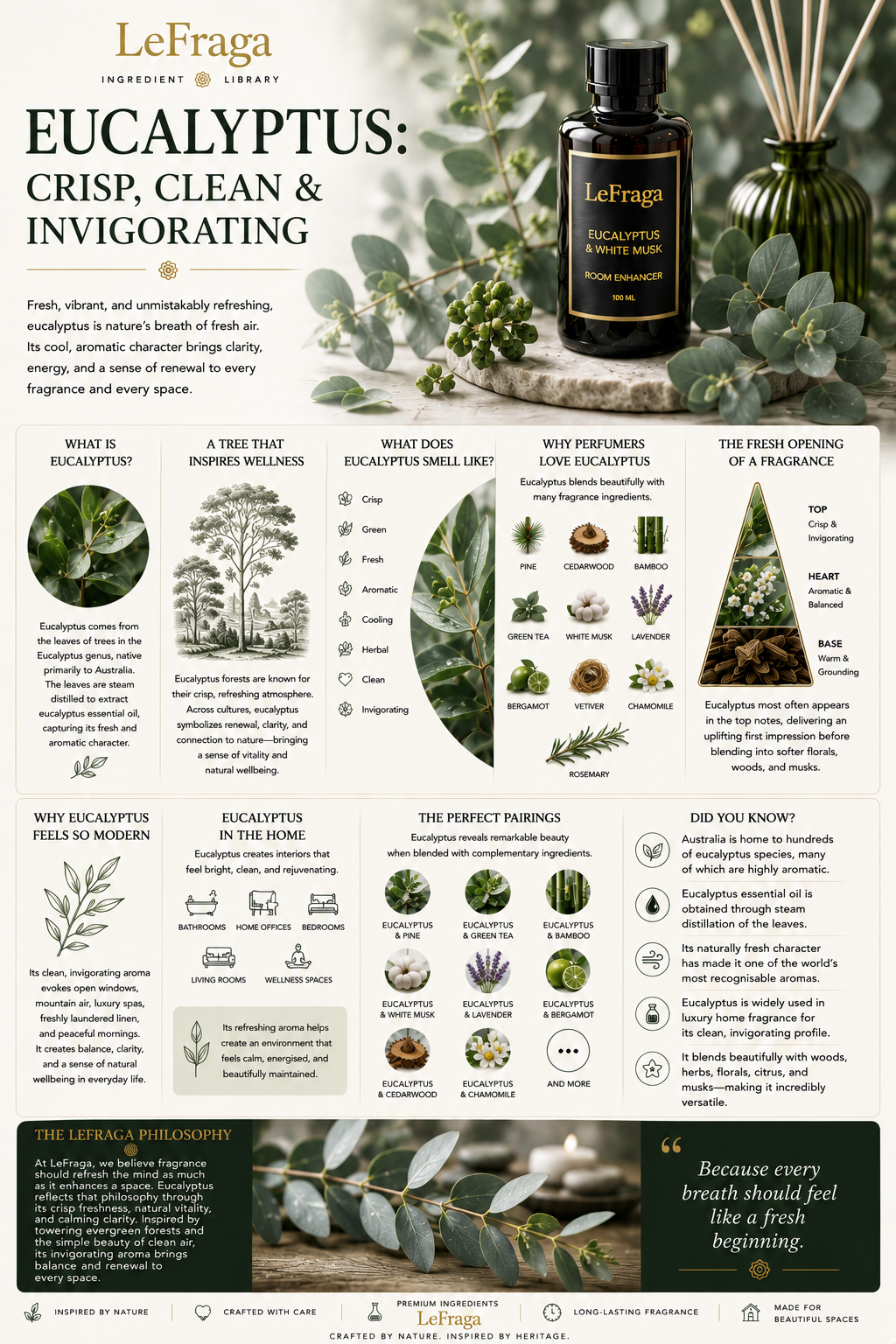 Eucalyptus: Crisp, Clean and Invigorating