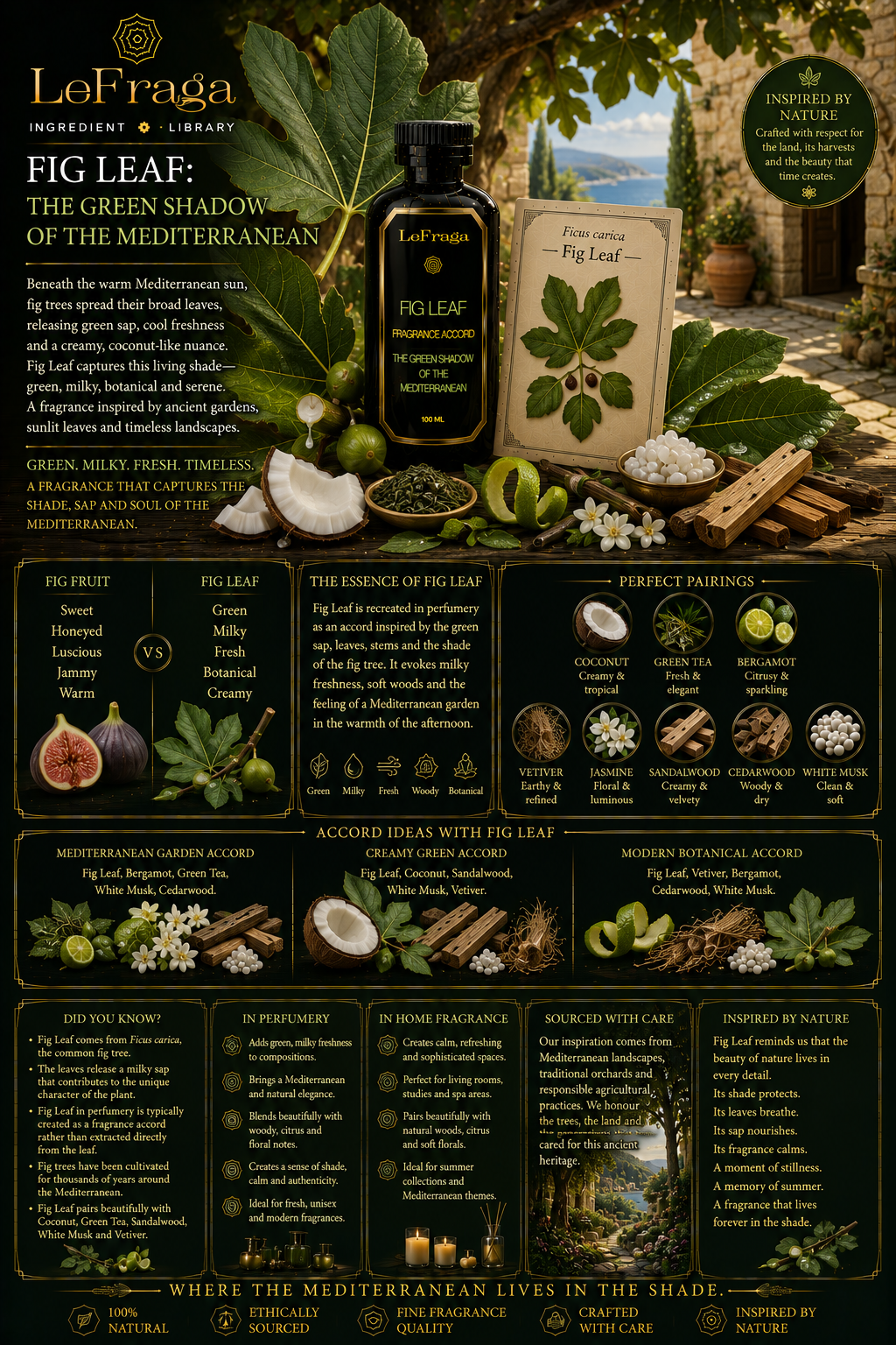 Fig Leaf: The Green Shadow of the Mediterranean