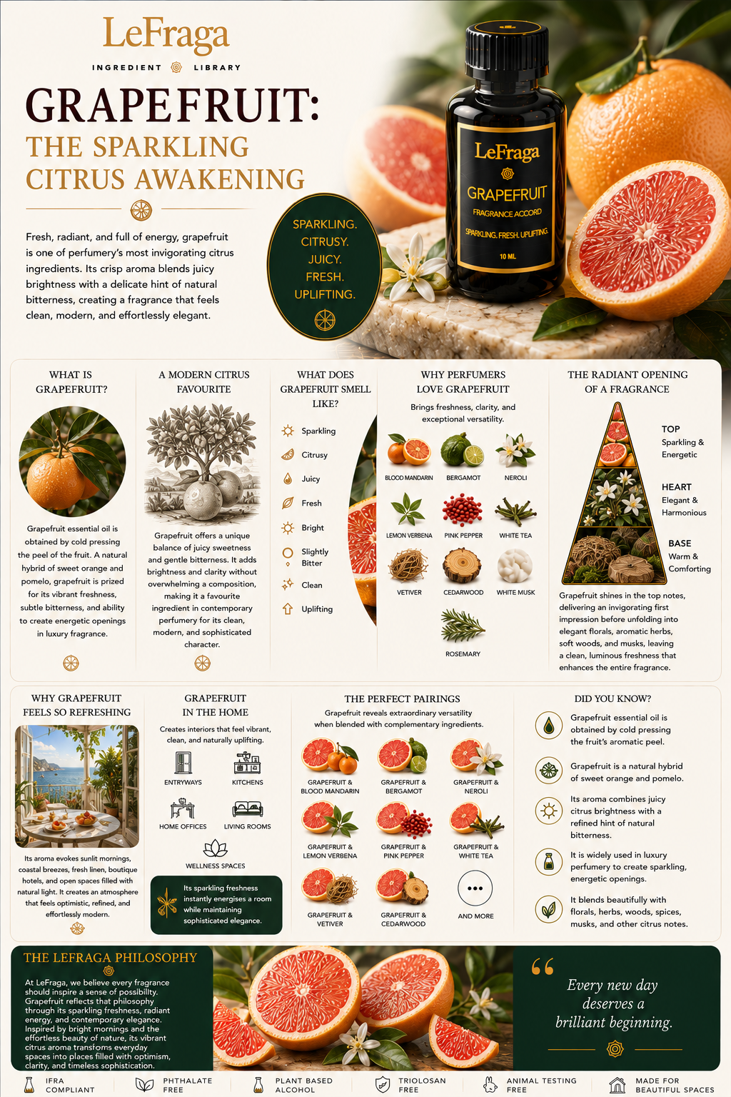 Grapefruit: The Sparkling Citrus Awakening