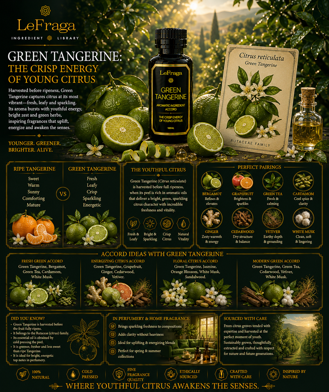 Green Tangerine: The Crisp Energy of Young Citrus