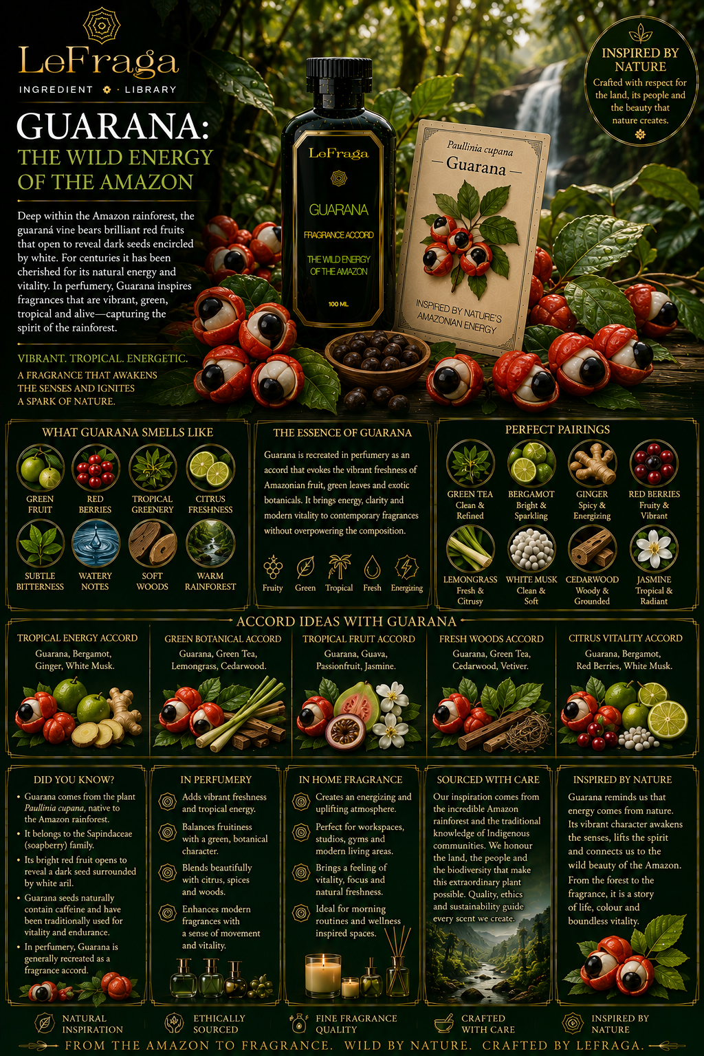 Guarana: The Wild Energy of the Amazon