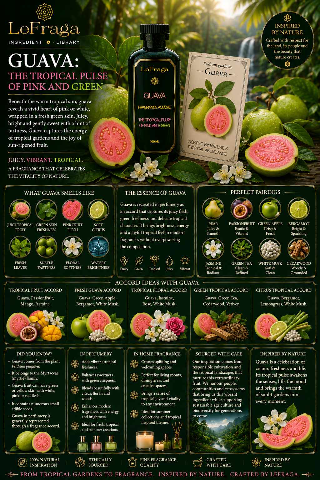 Guava: The Tropical Pulse of Pink and Green