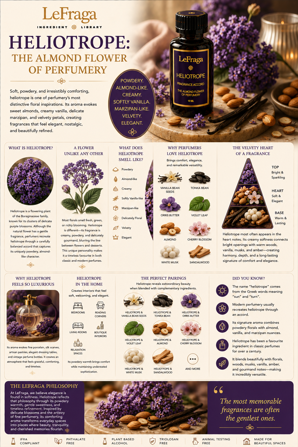 Heliotrope: The Almond Flower of Perfumery
