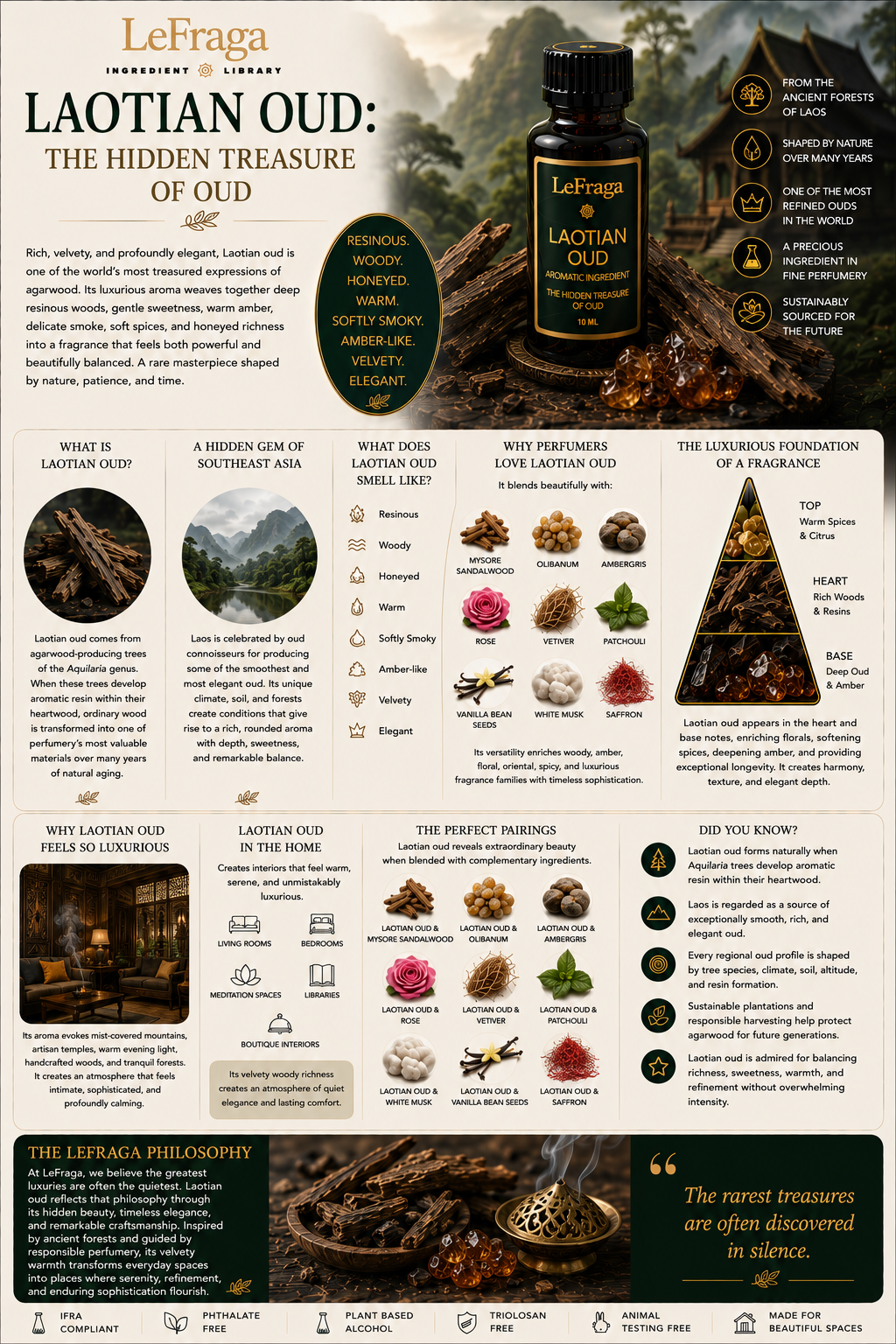 Laotian Oud: The Hidden Treasure of Oud