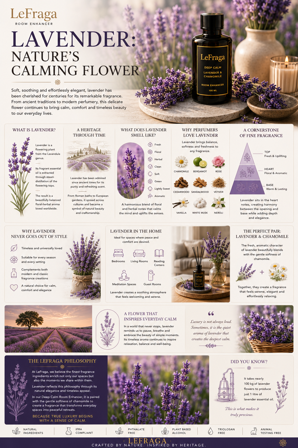 Lavender: Nature's Calming Flower