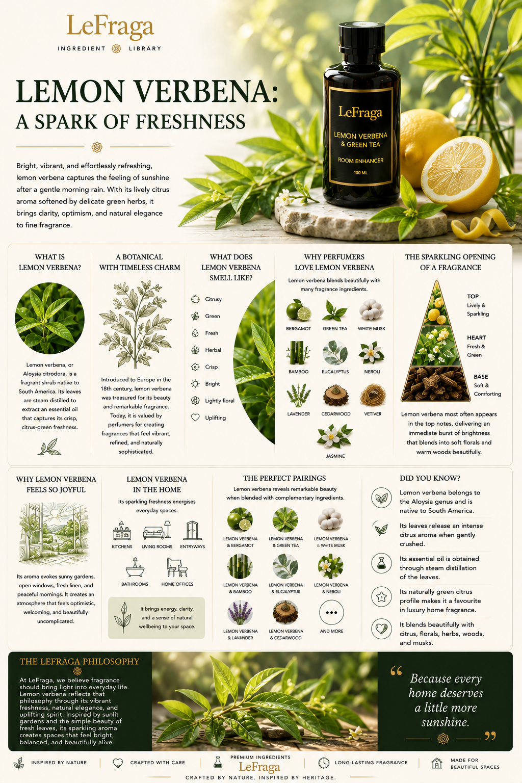 Lemon Verbena: A Spark of Freshness