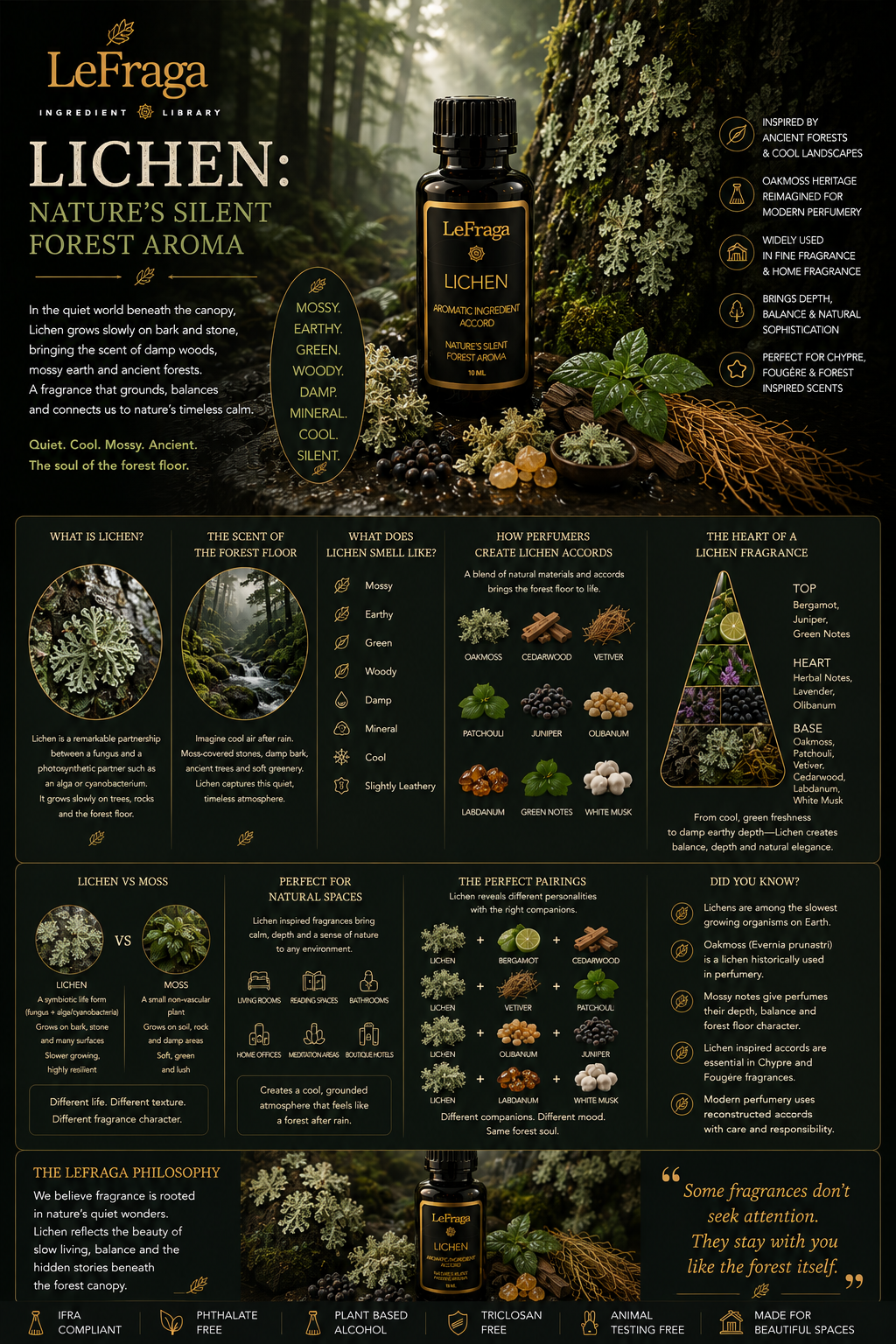 Lichen: Nature's Silent Forest Aroma