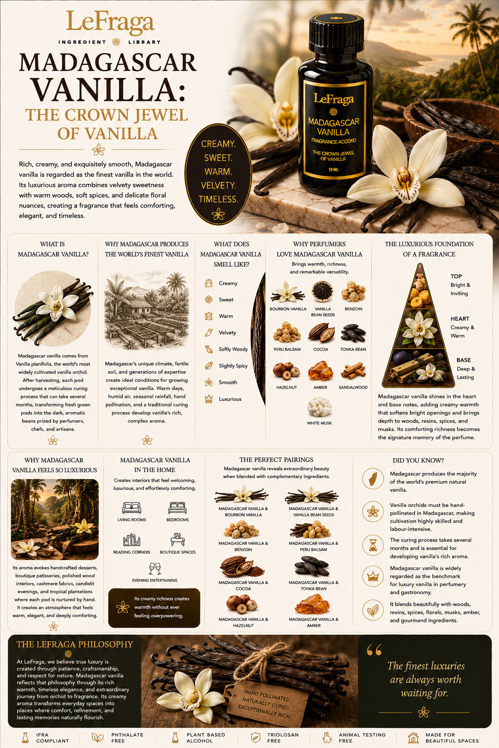 Madagascar Vanilla: The Crown Jewel of Vanilla