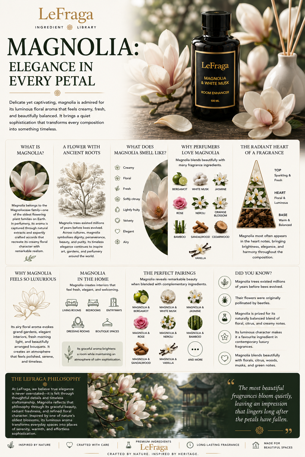 Magnolia: Elegance in Every Petal