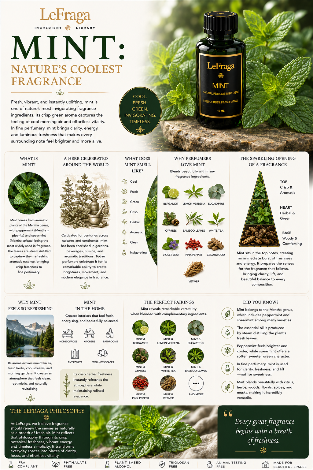 Mint: Nature's Coolest Fragrance