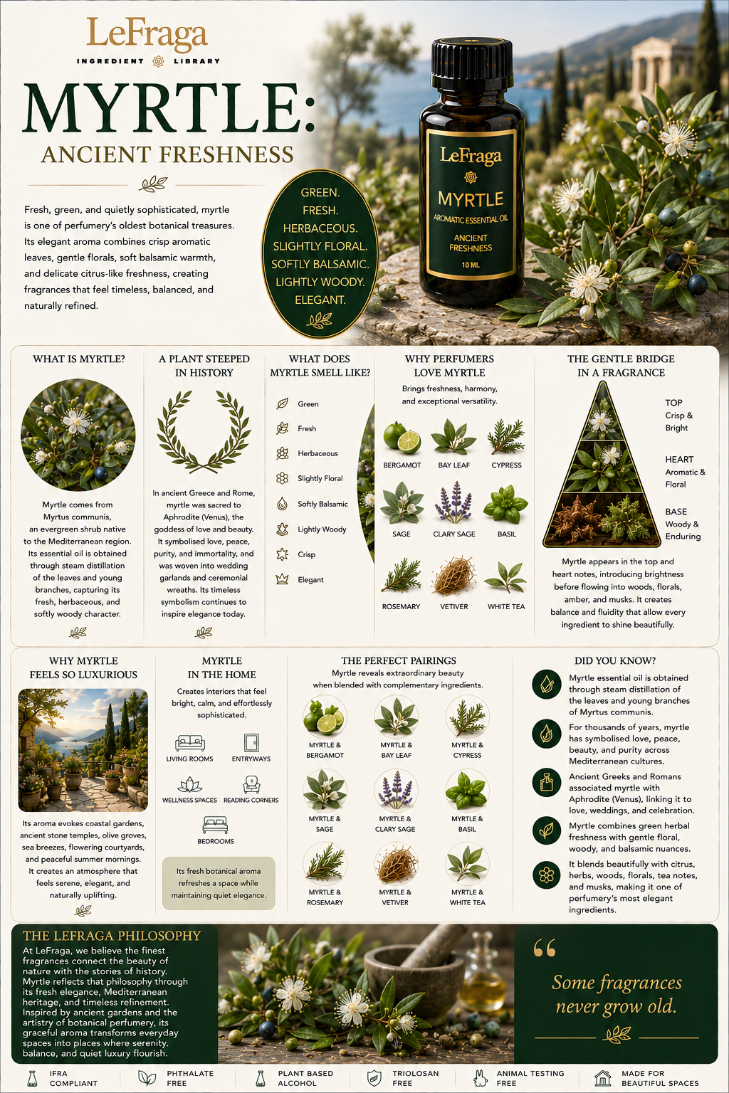 Myrtle: Ancient Freshness