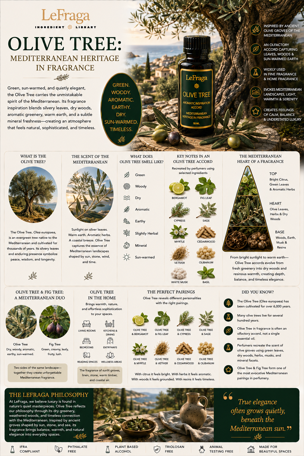 Olive Tree: Mediterranean Heritage in Fragrance