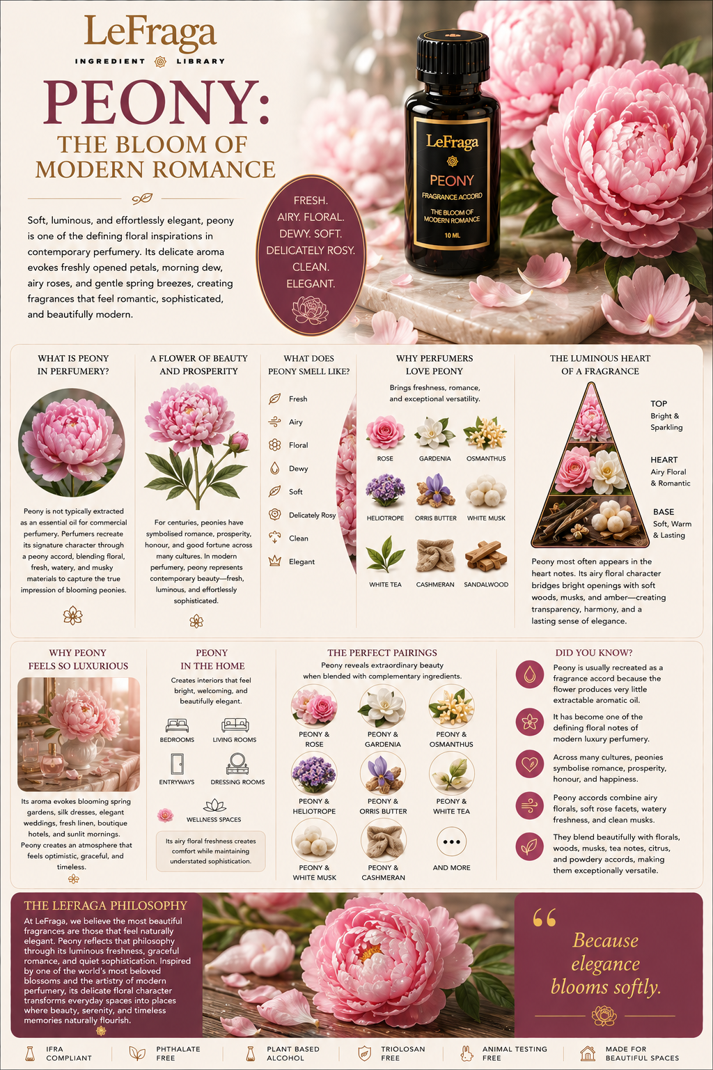 Peony: The Bloom of Modern Romance