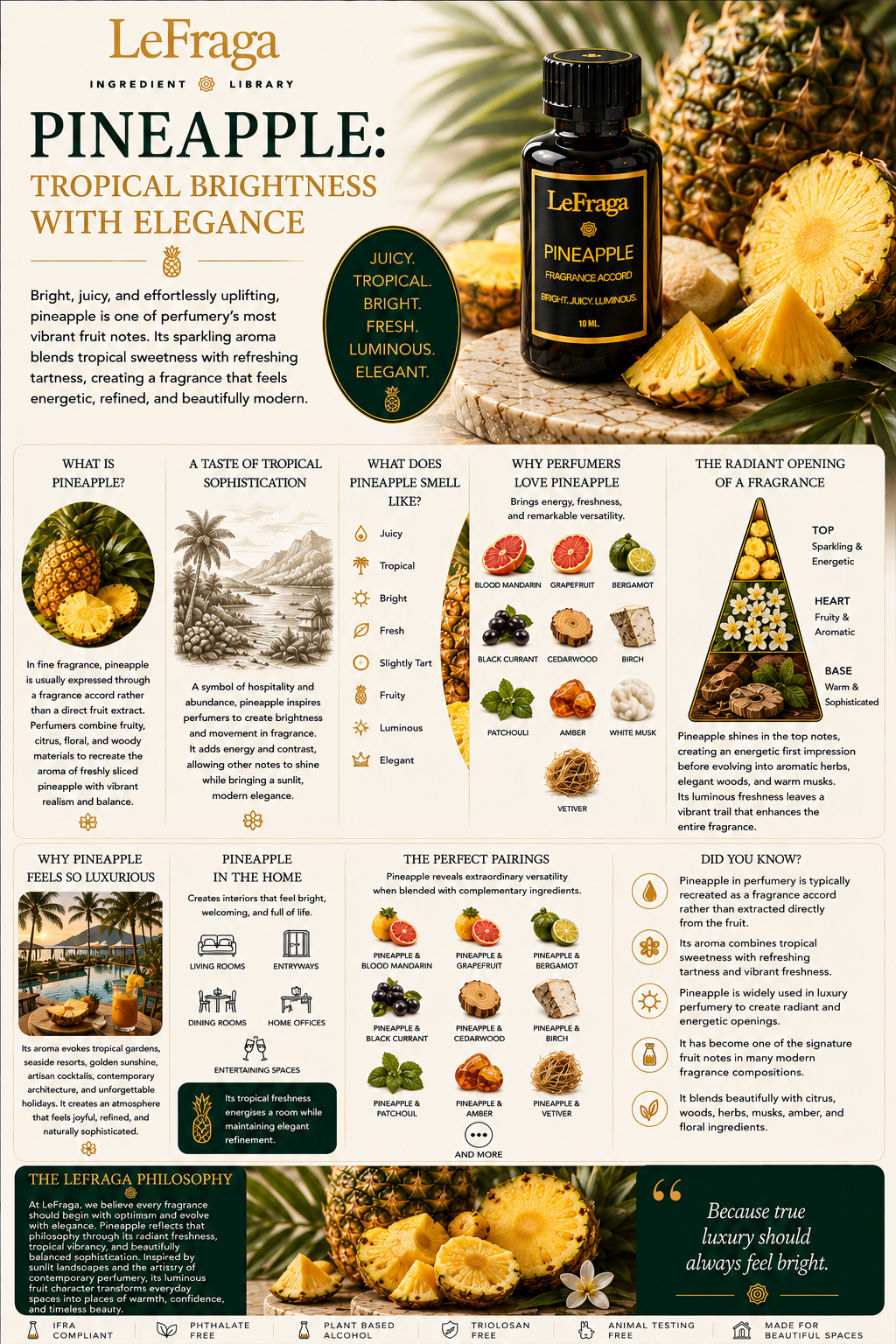 Pineapple: Tropical Brightness with Elegance