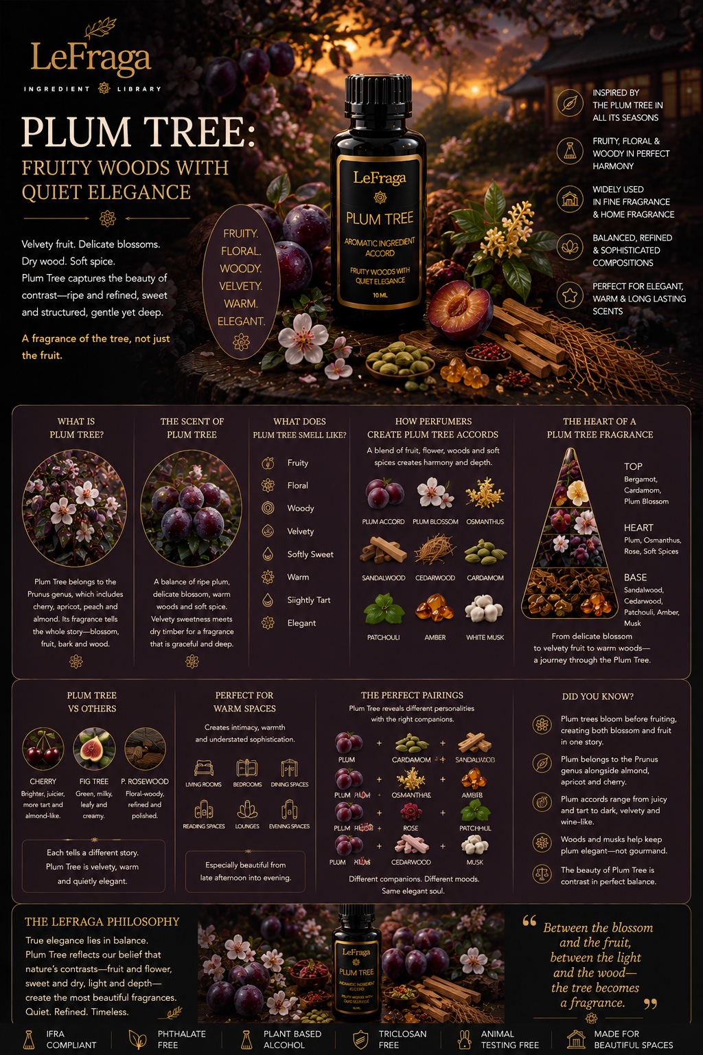 Plum Tree: Fruity Woods with Quiet Elegance