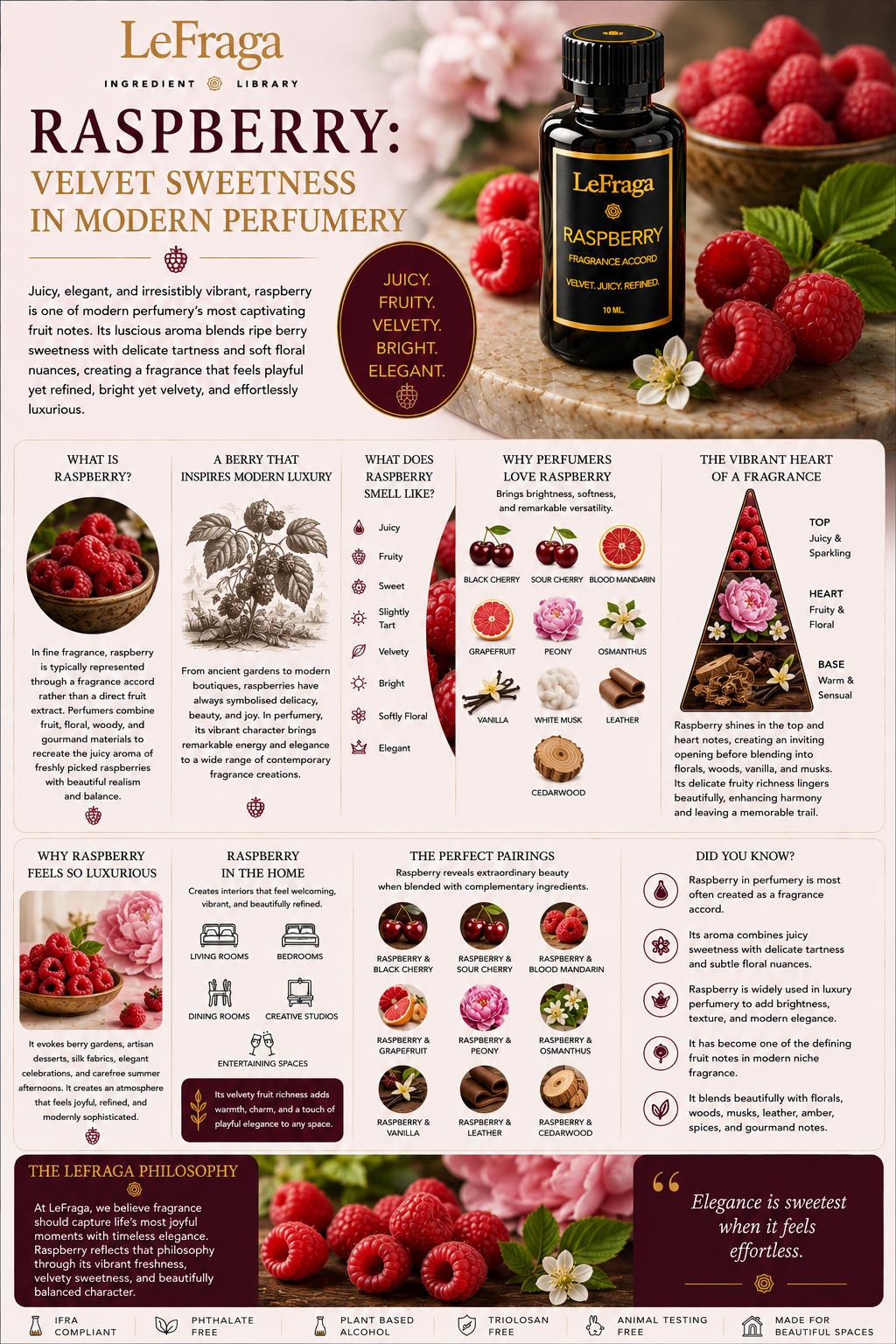 Raspberry: Velvet Sweetness in Modern Perfumery