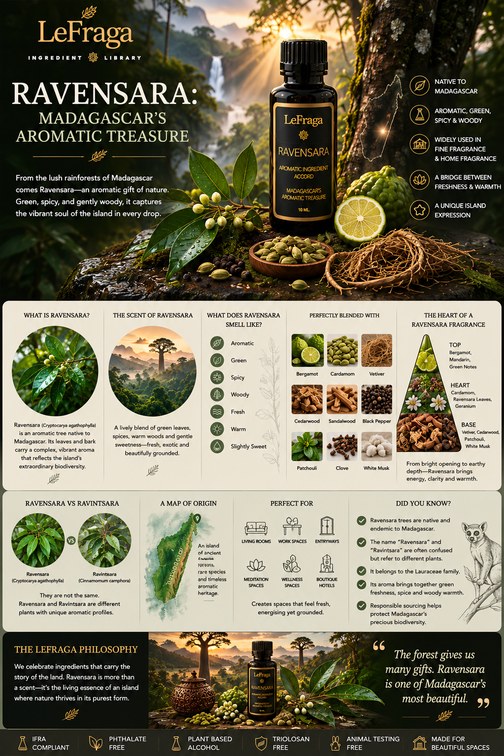 Ravensara: Madagascar's Aromatic Treasure