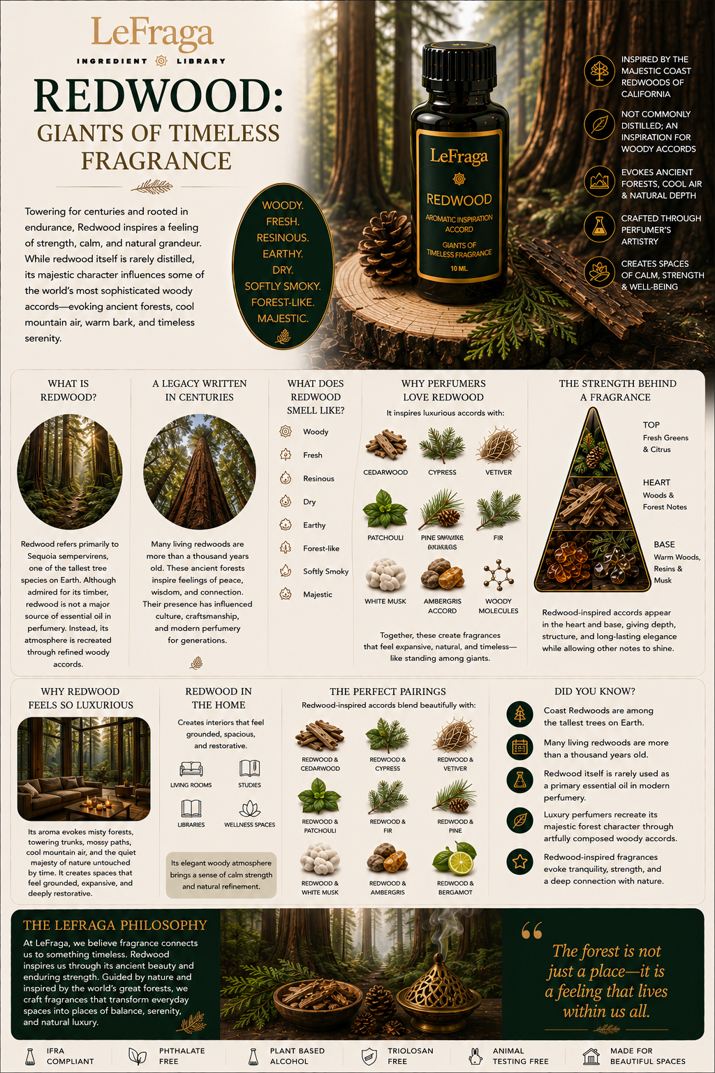 Redwood: Giants of Timeless Fragrance