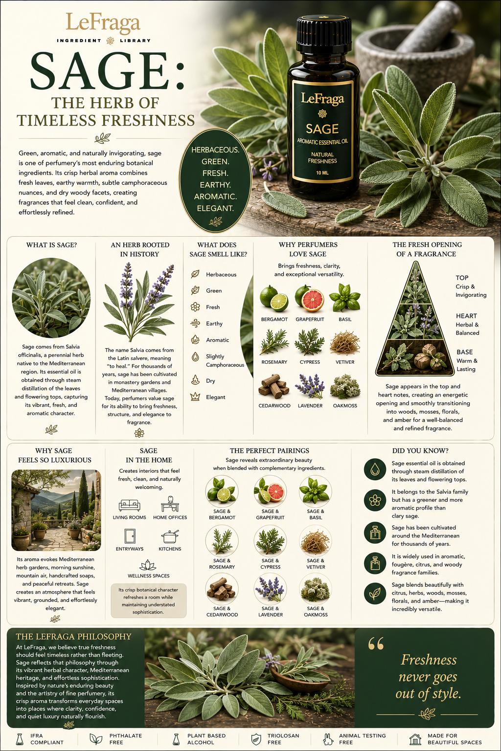 Sage: The Herb of Timeless Freshness