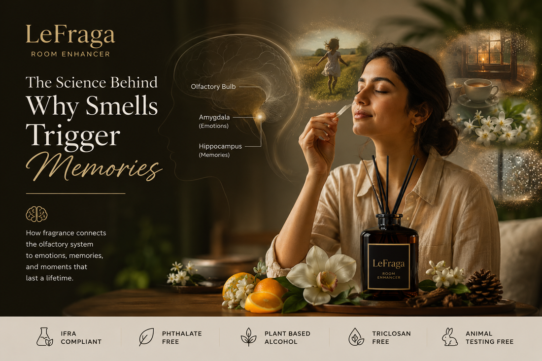 The Science Behind Why Smells Trigger Memories
