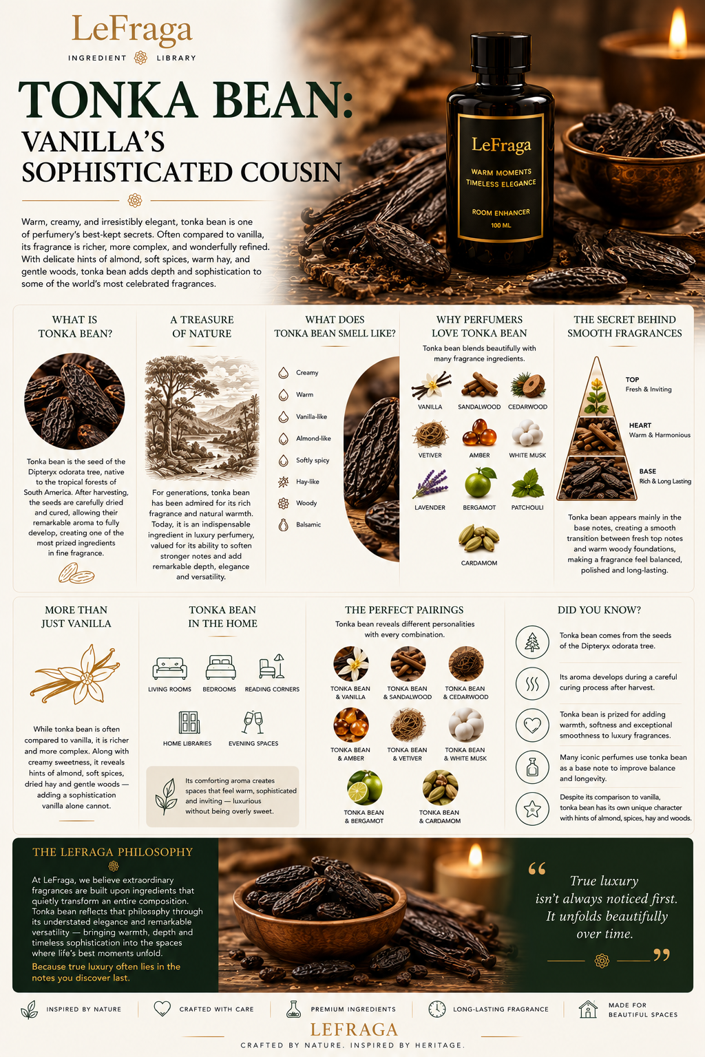 Tonka Bean: Vanilla's Sophisticated Cousin