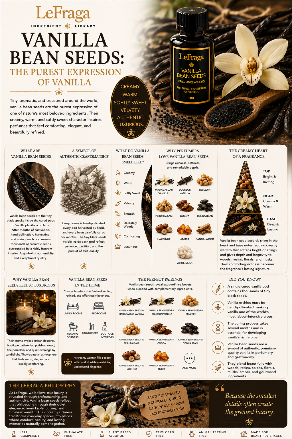 Vanilla Bean Seeds: The Purest Expression of Vanilla
