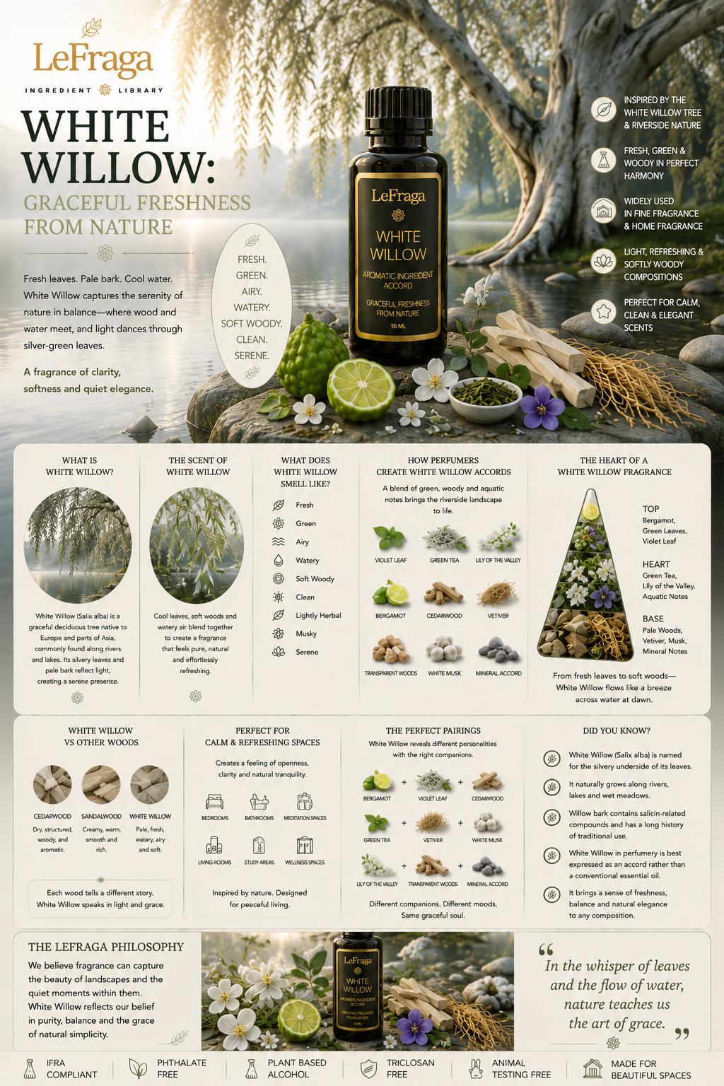 White Willow: Graceful Freshness from Nature