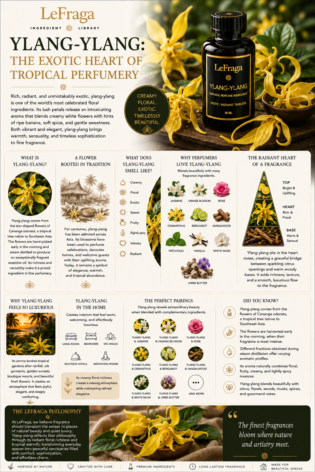 Ylang-Ylang: The Exotic Heart of Tropical Perfumery